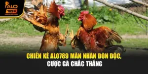 Chiến Kê Alo789 -  Mãn Nhãn Đòn Độc, Cược Gà Chắc Thắng