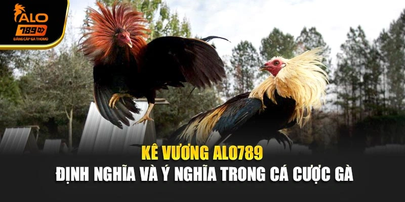 Kê vương Alo789 – định nghĩa và ý nghĩa trong cá cược gà