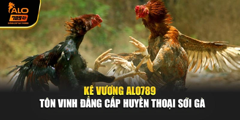 Kê Vương Alo789 - Tôn Vinh Đẳng Cấp Huyền Thoại Sới Gà