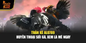 Thần Kê Alo789 - Huyền Thoại Sới Gà, Xem Là Mê Ngay
