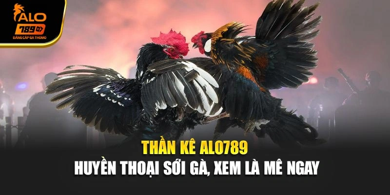 Thần Kê Alo789 - Huyền Thoại Sới Gà, Xem Là Mê Ngay
