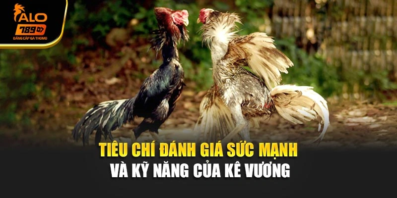 Tiêu chí đánh giá sức mạnh và kỹ năng của Kê vương